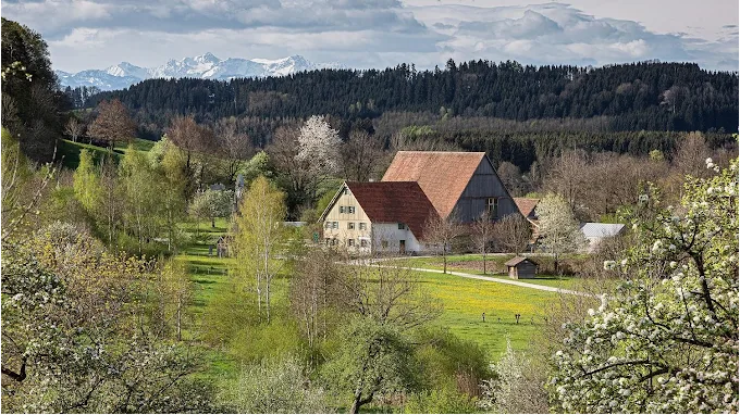 2018 – Wolfegg & Bad Wurzach