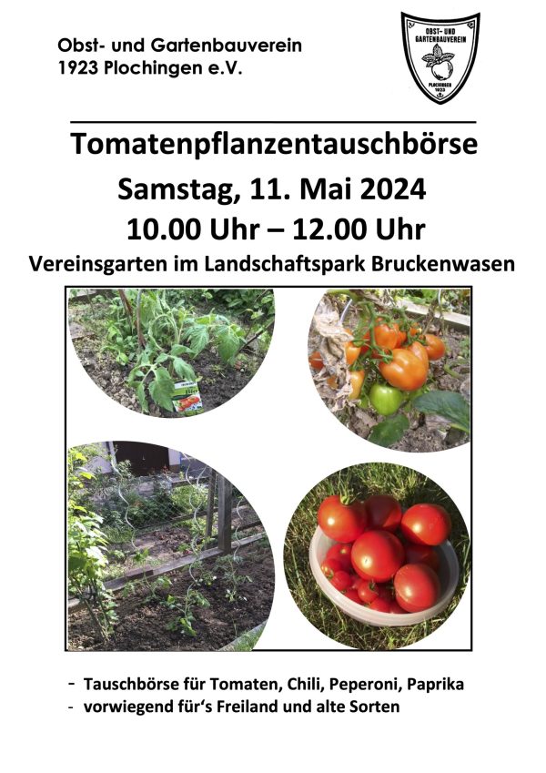 Plakat Tomatentauschbörse 2024 rund-di