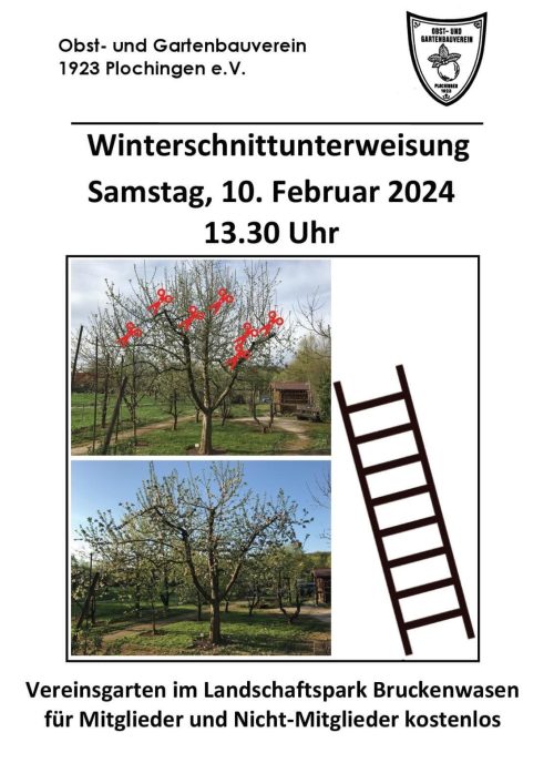 Winterschnitt_2024_11